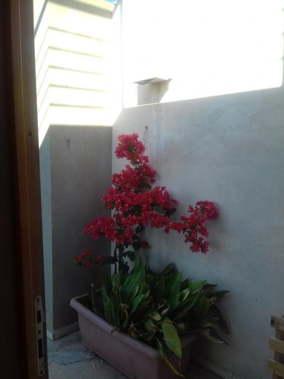 Casa Dei Fenicotteri Βίλα Marausa Εξωτερικό φωτογραφία